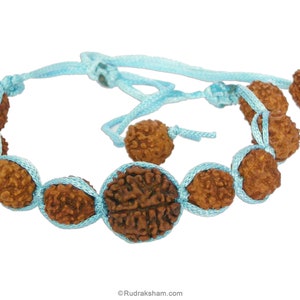 May include: A brown rudraksha bracelet with a blue cord. The bracelet has 10 beads and a larger bead in the center.