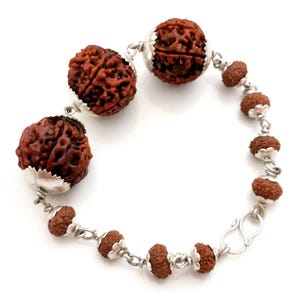 7 Mukhi Rudraksha Beads mala Bracelet- Energized & 110% Authentic From Nepal- Saturn Bracelets In Thread / Silver / Copper 7 Face Rudraksha image 6