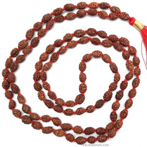 3 Mukhi Rudraksha Indonesian Beads Japa Mala | 108 Beads Java Three Mukhi Rudraksha Beads Kantha Mala | Teen Mukhi Mala Rosary | Mars Mala