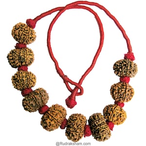 May include: A red string necklace with brown beads. The beads are round and have a textured surface.
