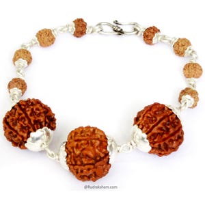 7 Mukhi Rudraksha Beads Bracelet- Energized & 110% Authentic From Nepal- Saturn Bracelet In Silver, 7 Face Rudraksha bracelet | Seven Mukhi