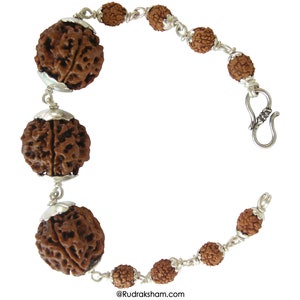 4 Mukhi Rudraksha Beads Power mala Bracelet- Energized & 110% Authentic - From Nepal- Blessings of Goddess Saraswati, In thread / Silver