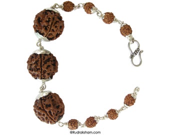 4 Mukhi Rudraksha Beads Power mala Bracelet- Energized & 110% Authentic - From Nepal- Blessings of Goddess Saraswati, In thread / Silver