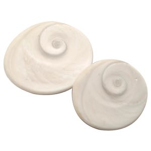 May include: Two white seashells with a spiral pattern. The shells are smooth and have a glossy finish.