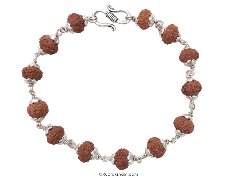 May include: A brown rudraksha mala bracelet with a silver clasp. The bracelet is made of 108 beads and is designed to be worn on the wrist.