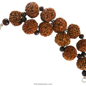 May include: A brown bracelet made of Rudraksha beads with silver accents. The bracelet has a hook clasp.
