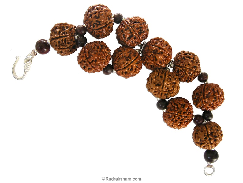 May include: A brown bracelet made of Rudraksha beads with silver accents. The bracelet has a hook clasp.