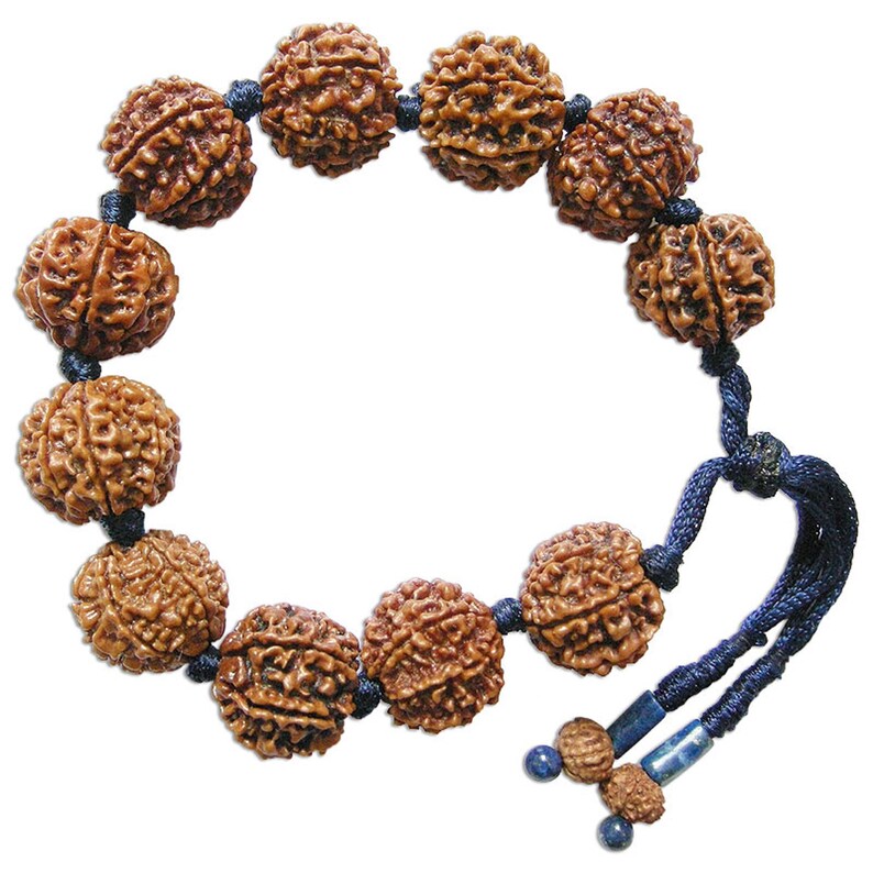 7 Mukhi Rudraksha Beads mala Bracelet- Energized & 110% Authentic From Nepal- Saturn Bracelets In Thread / Silver / Copper 7 Face Rudraksha image 5