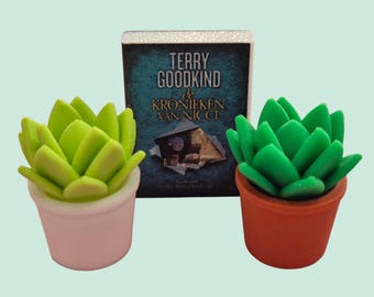 Mini succulent for mini bookcase, book nook, mini library, bookshelf, DIY, do-it-yourself books, dollhouse interior
