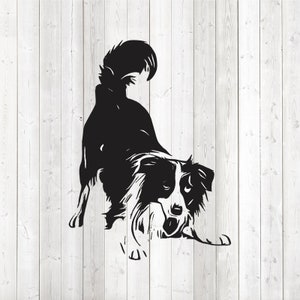 Woolly border collie. Dog. Vector cutting file for Silhouette Cameo and Cricut; SVG, Studio3 + PNG.