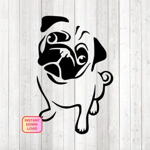 Cute pug, sitting with head tilted, begging. Vector cutting file for Silhouette Cameo and Cricut; SVG, Studio3, PNG + EPS.
