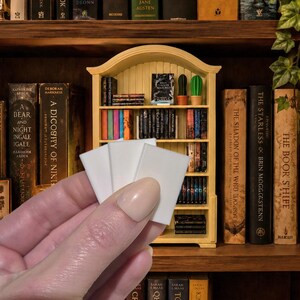 Op de afbeelding: Drie kleine, rechthoekige, blanco witte kaarten die in een waaier worden gehouden. De kaarten hebben een gladde, matte afwerking en zijn geplaatst voor een miniatuur geel houten boekenplank gevuld met kleine boeken en twee kleine cactusbeeldjes.