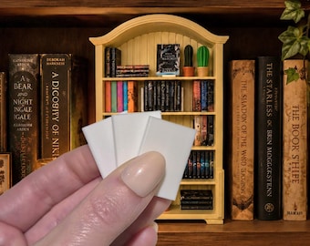 Blanco miniatuur boeken, book nook, mini bibliotheek, to be read jar, DIY, doe het zelf boekjes