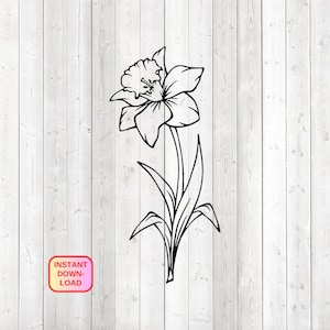 Large daffodil with stem and leaves. Vector cutting file for Silhouette Cameo and Cricut; SVG, Studio3, PNG + EPS.