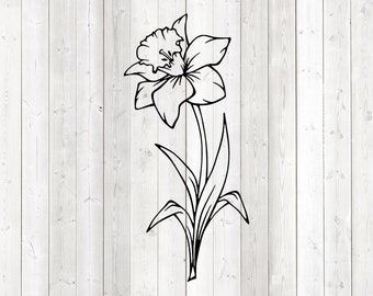Large daffodil with stem and leaves. Vector cutting file for Silhouette Cameo and Cricut; SVG, Studio3, PNG + EPS.