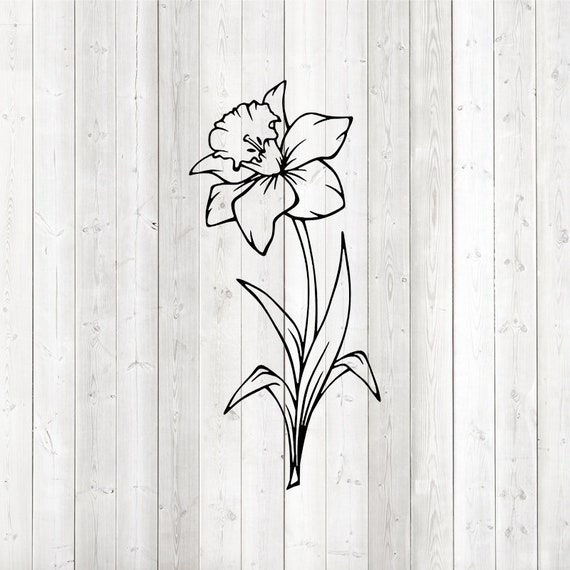 Large daffodil with stem and leaves. Vector cutting file for Etsy