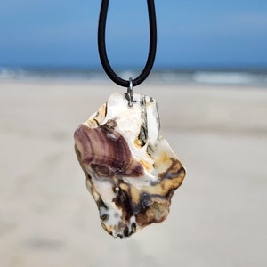 One of a Kind Seashell Necklace, Real Seashell Jewelry, All Natural Jewelry, Unique Necklace, Black and White Necklace, Shell Jewelry, Beach