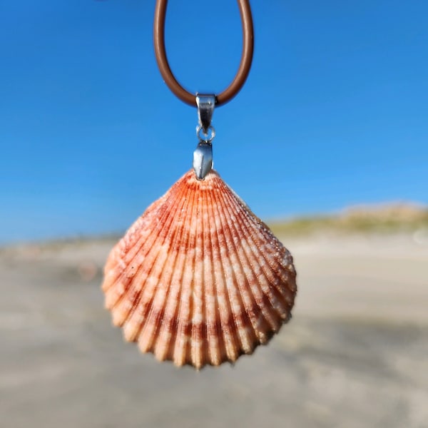 Shell Necklace, Seashell Pendant, seashell choker, Beach Jewelry, Real Seashell Jewelry, Real Shell Necklace, Seashell Jewelry, Orange shell