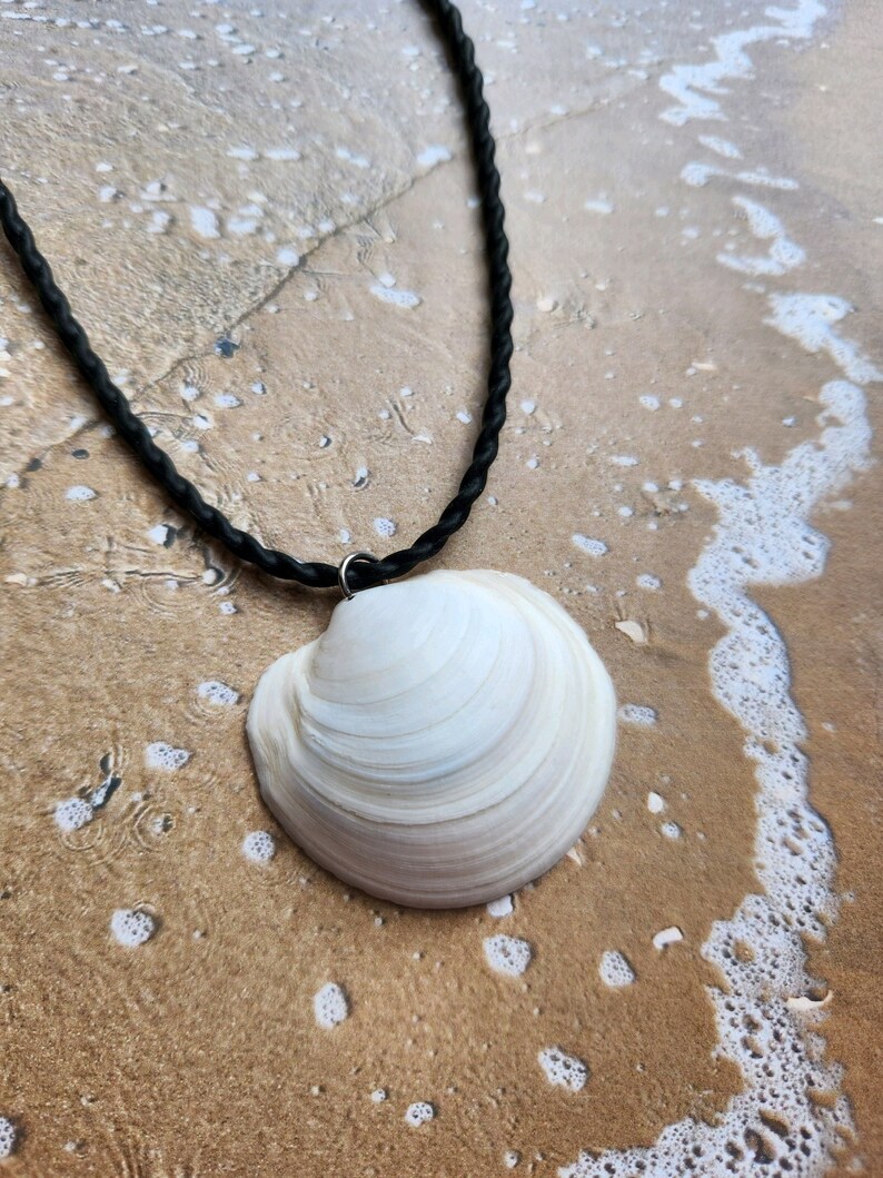 Seashell Nature Collage, Real Seashell Necklace, Shell Pendant ...
