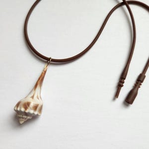Real Seashell Necklace, Beach Jewelry, Ocean Jewelry, Shell Pendant, All Natural Jewelry, Unique Necklace, Seashell Choker, Natural Seashell