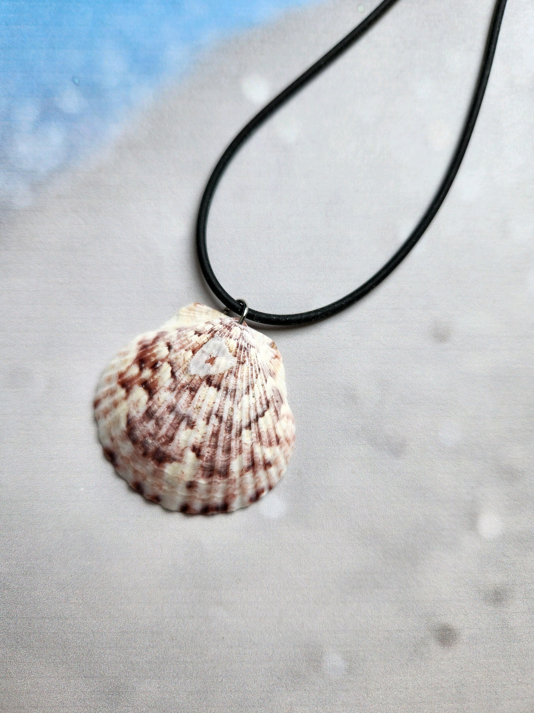 Real cheap shell pendant