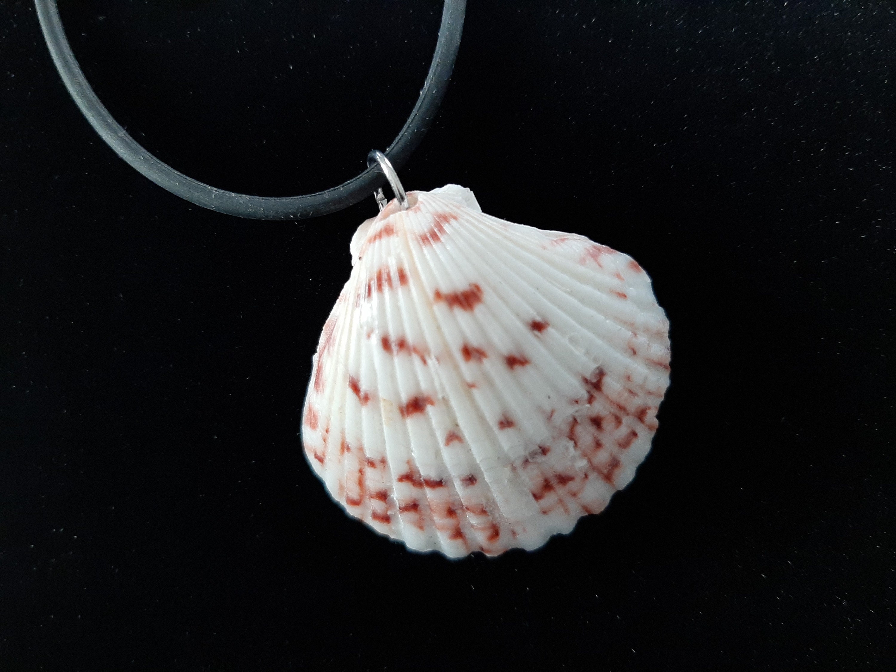Seashell Necklace, Shell Necklace, Seashell Pendant, Real Shell ...
