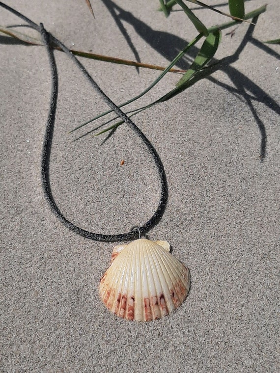 Seashell Necklace Shell Necklace Seashell Pendant Real Shell