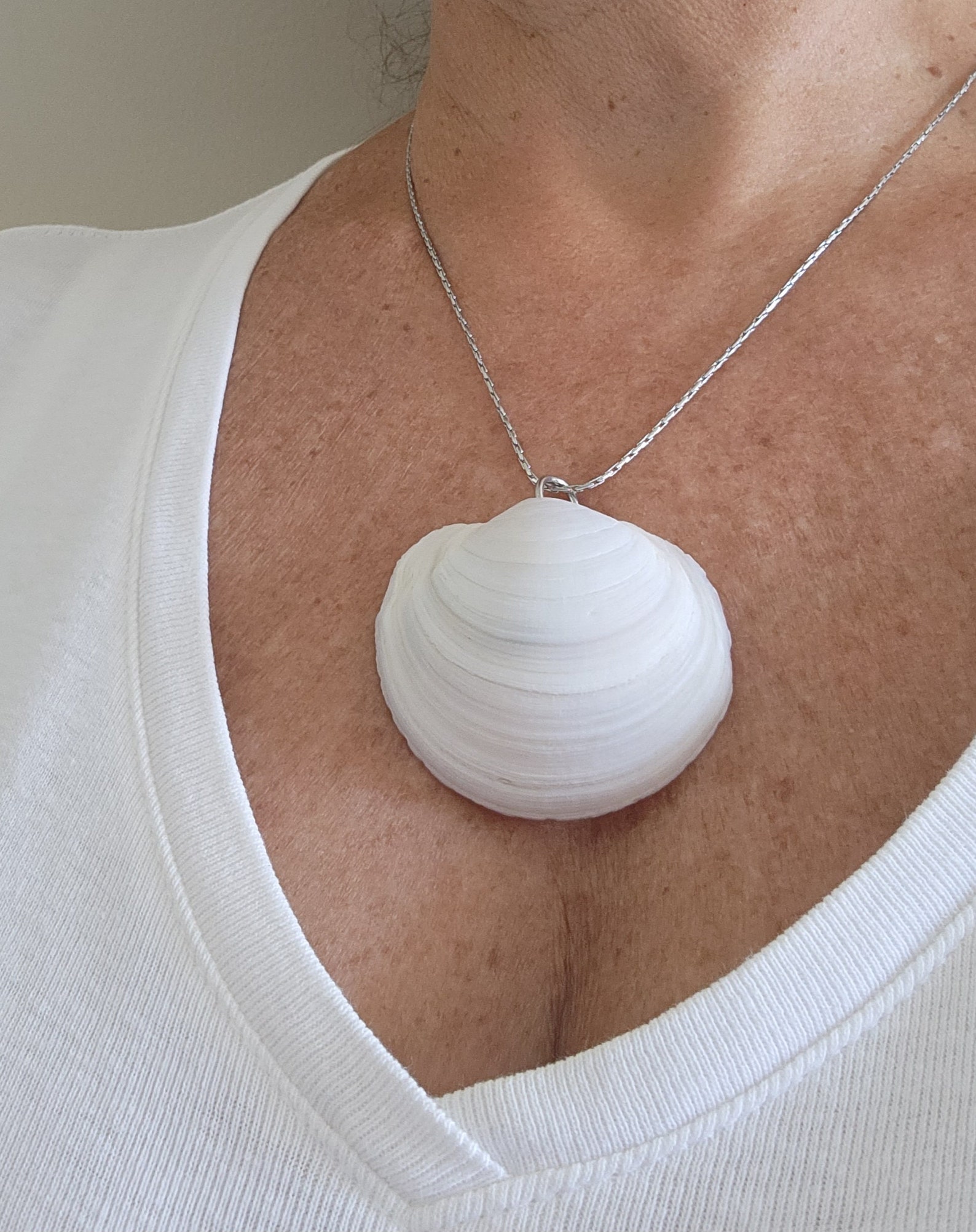 Seashell Nature Collage, Real Seashell Necklace, Shell Pendant ...