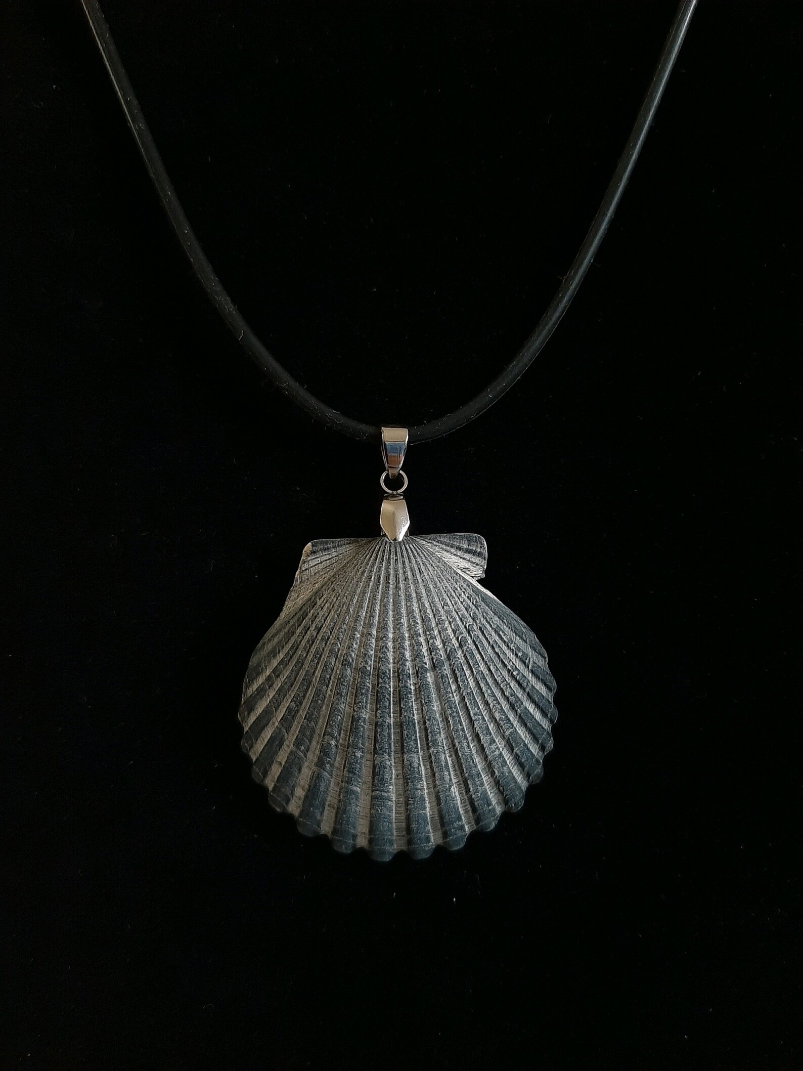 Seashell Necklace Seashell Pendant Shell Pendant Beach - Etsy