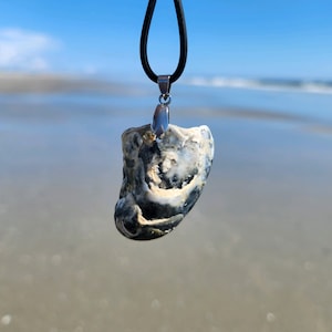 One of a Kind Seashell Necklace, Real Seashell Jewelry, All Natural Jewelry, Unique Necklace, Black and White Necklace, Shell Jewelry, Beach