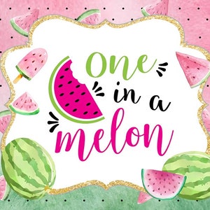 Watermelon Backdrop for Photography, One in a Melon Newborn Backdrops, Summer Background Baby Shower Photo Booth Prop