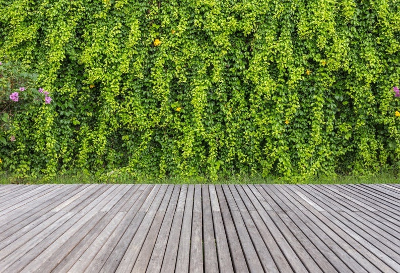 Green Bush Wall Backdrops Grass Wooden Backdrop Spring Summer Etsy