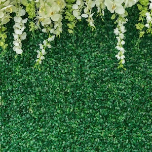 Fondo de despedida de soltera para recepción de boda, fondo verde con flores, hojas verdes, flores blancas, fondos para fotos, decoración para ceremonia y fiesta.
