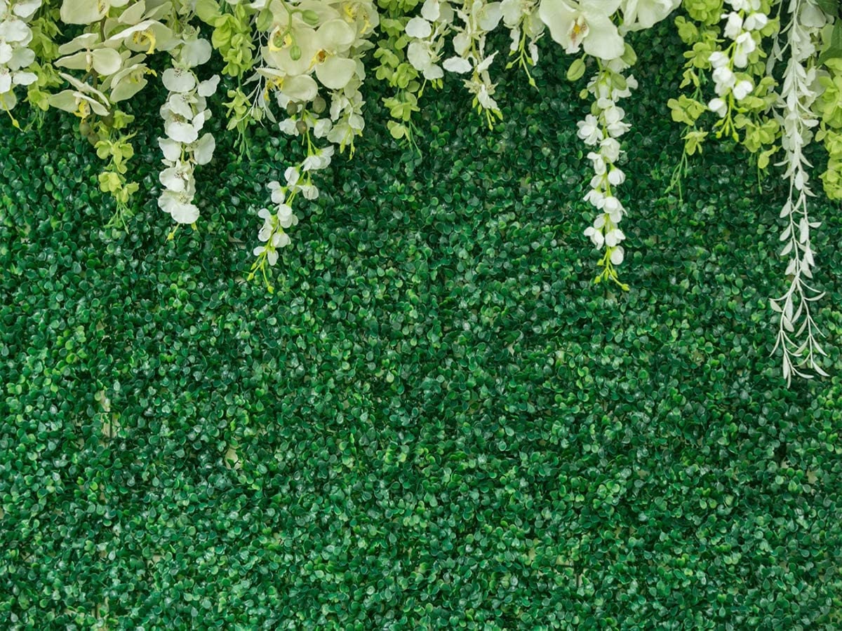 Bridal Shower Backdrop for Wedding Reception Greenery Backdrop Etsy
