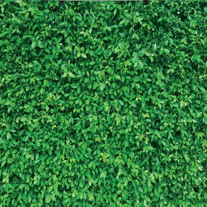 Green Leaves Wall Photography Backdrops Nature Safari Party Decora Outdoorsy Backdrop Wedding Birthday Photo Background Studio Props Booth