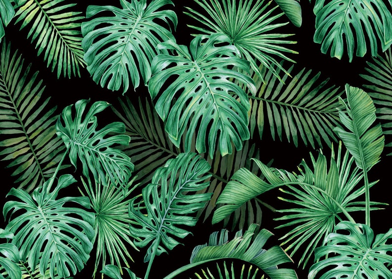 Tropical Spring Green Leaves Wall Photography Backdrop | Etsy