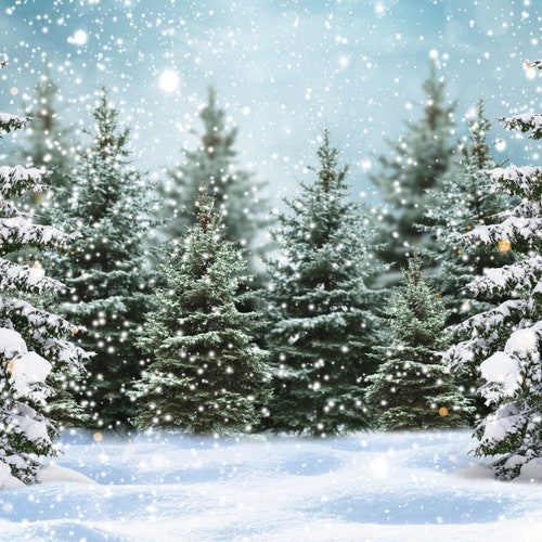 Vinyl Winter Pine Christmas Xmas Tree Snow Photography Studio - Etsy