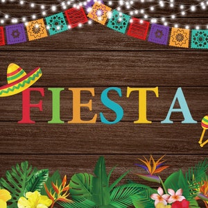 Mexican Fiesta Backdrop, Vintage Wood Fiesta Party Sprinkles Vinyl Background Mexican Banner Bright Lights Fiesta Party Backdrop