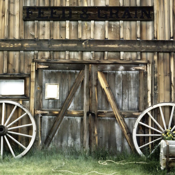Barn Door Backdrop Etsy