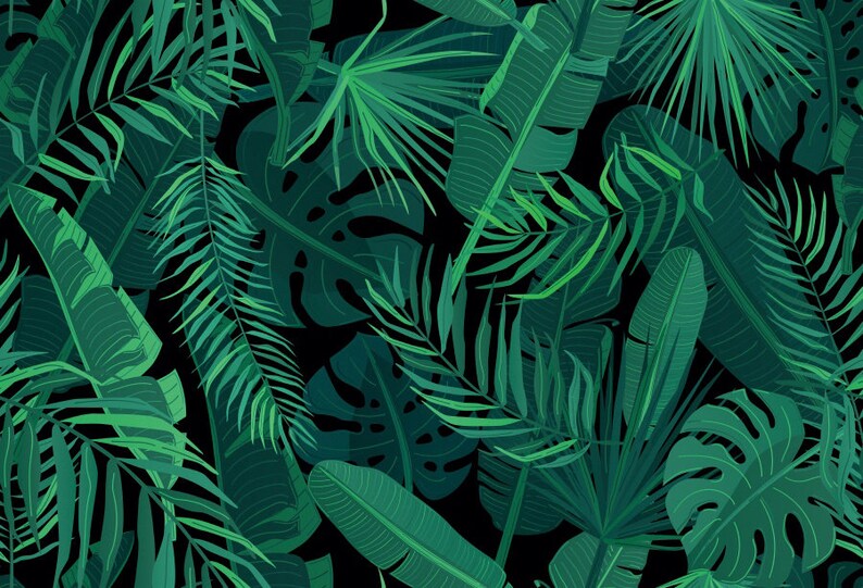 Jungle Tropical Plants Green Leaves Photography Backdrops Etsy