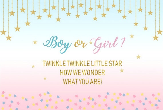 DaShan 7x5ft Polyester Boy or Girl Twinkle Little Star Gender Reveal Baby Shower Party Backdrop Prince or Princess Glitter Baby Shower Photography Background He or She Baby Shower YouTube Photo Prop
