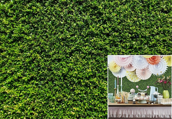 Grass Wall Backdrop Green Bush Wall Backdrops, Spring Summer Printed Vinyl Fabric Photography Background for Garden, Backyard and Home Decor