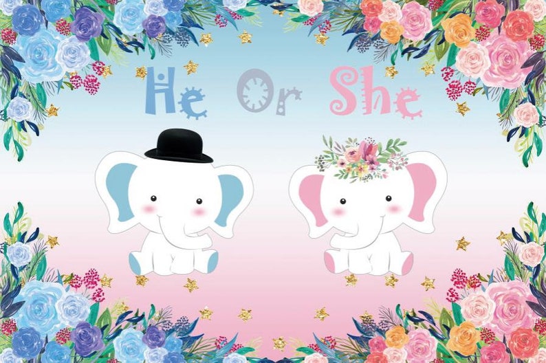 Peanut Elephant Gender Reveal Baby Shower He or She Backdrop Blue Pink Grey Wave Boy or Girl Photography Background Photo Banner Custom Text