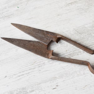 Vintage schapenscharen//Primitief antiek//Metalen schapenscharen//Handgesmede schapenscharen//Schaar voor het knippen van schapen//Antieke schapenscharen