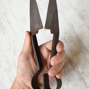 Vintage schapenscharen//Primitief antiek//Metalen schapenscharen//Handgesmede schapenscharen//Schaar voor het knippen van schapen//Antieke schapenscharen