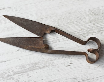 Könnte beinhalten: Eine Paar rostige, antike Scheren mit einem gebogenen Griff. Die Scheren haben eine lange, dünne Klinge und sind aus Metall.