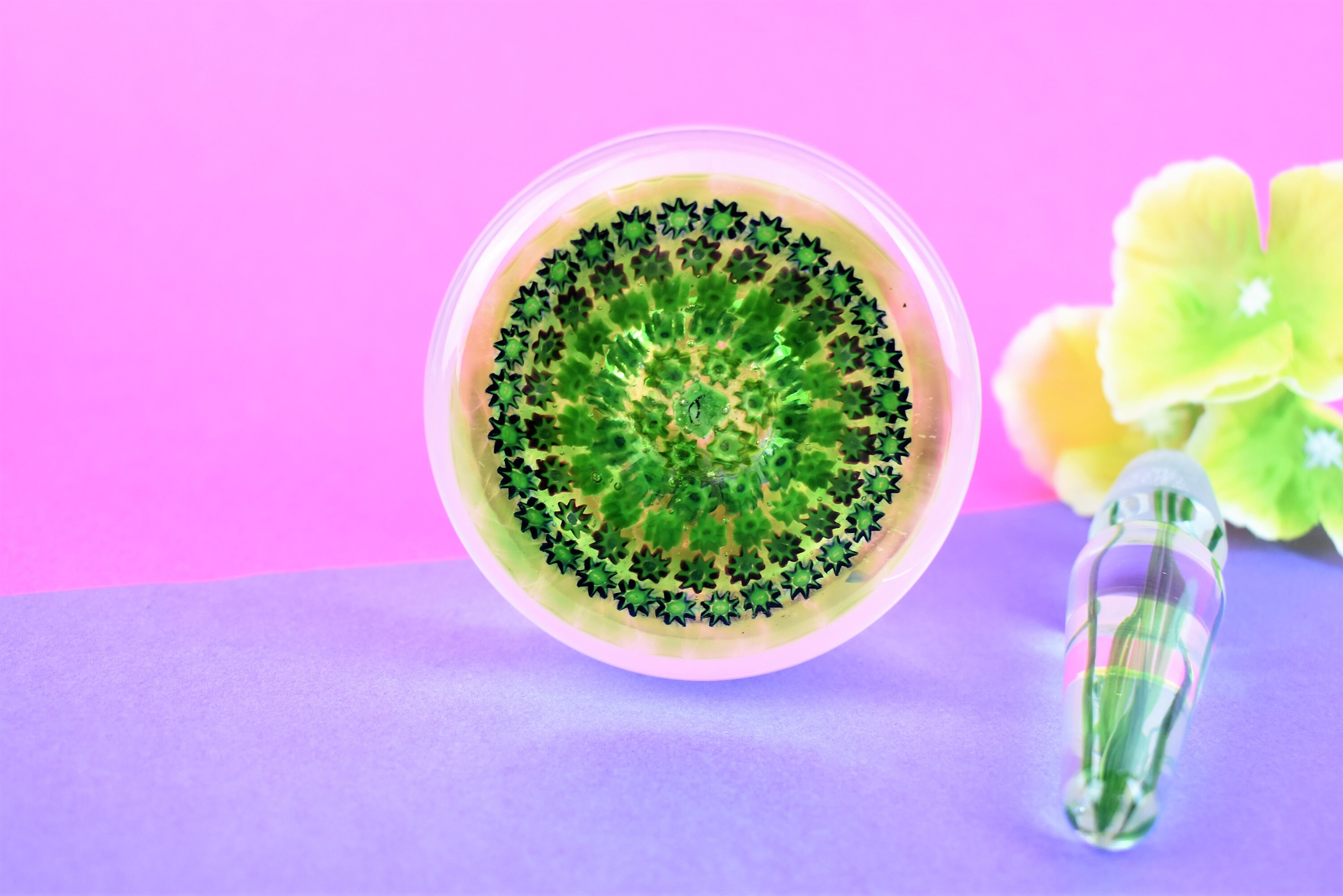 Millefiori ヴィンテージ パースシャー クリフ アート ガラス 香水瓶