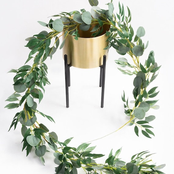 Set of 2 Eucalyptus Strands