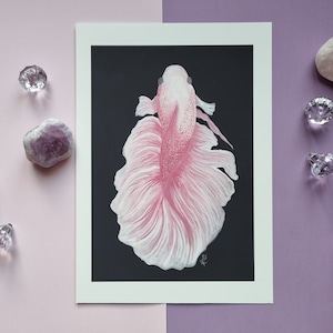 Pink Betta Fish Art Print Illustrated Gouache Painting  Giclée Print A5 Home Decor Wall Art Bedroom Children&#39;s Bedroom