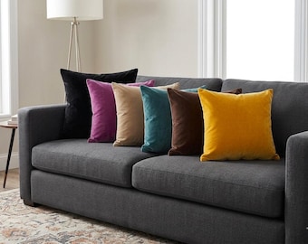 Soft Velvet Throw Pillow, Decorative Cushion Cover